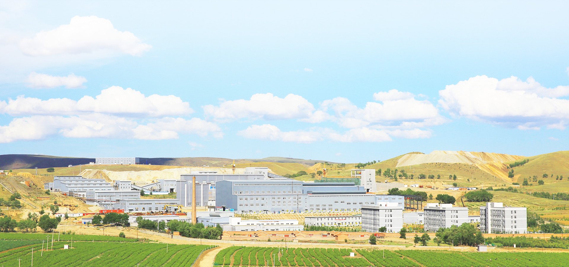 实现企业生长，，，，，成绩员工价值，，，，，践行社会责任。。。。。。。